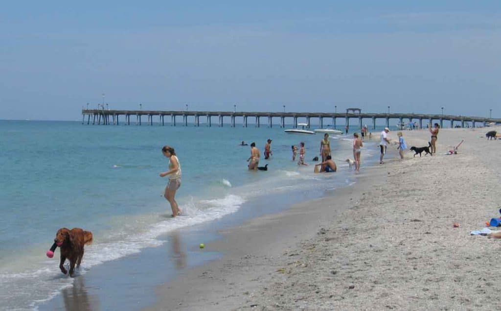 Brohard Beach & Paw Park, Sarasota California, Sarasota beaches, Florida Beaches, best beaches of Florida, beach travel destinations