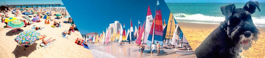 Hobie Beach, Miami Florida, Best beaches of Florida's East Coast, Miami beaches, Florida beaches, best beaches of Florida, best beaches of Miami, Miami Travel Guide