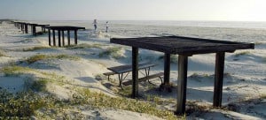 , Mustang Island State Park, best time to visit Mustang Island State Park, best Mustang Island State Park area beaches, best Mustang Island area Restaurants, best Mustang Island area Tours & Activities, best Mustang Island area bars, best Mustang Island area hotels
