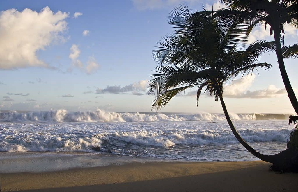 Blanchisseuse Beach, Tobago, best beaches of Tobago, Windward Islands, best beaches of the Windward Islands, Lesser Antilles Vacations, Best beaches of the Lesser Antilles, best beaches in the Caribbean