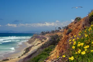 The Best Southern California Beaches, Beach Travel Destinations, Del Mar California, best Del Mar Beaches, Del Mar City Beach, Del Mar Dog Beach, Torrey Pines State Beach, L'Auberge Del Mar