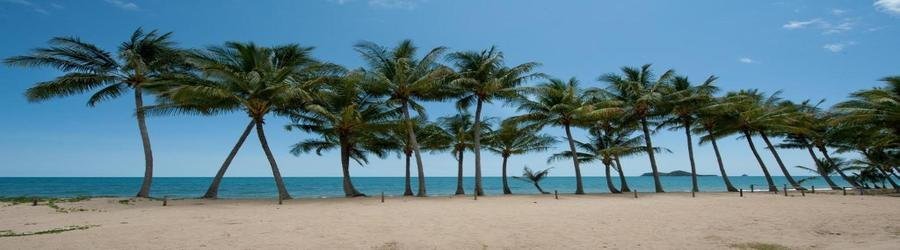 Wide stretch of Ellis Beach with soft sand and rainforest backdrop on a sunny day.