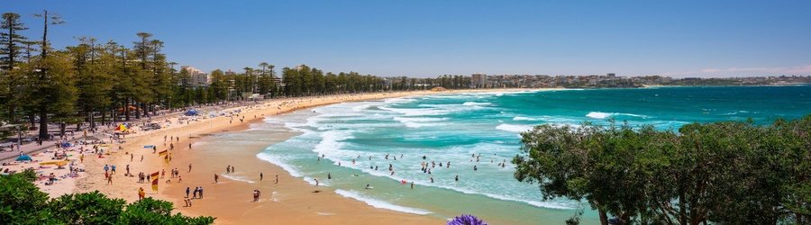 A wide view of Manly Beach with rolling waves, swimmers, and a tree-lined promenade.