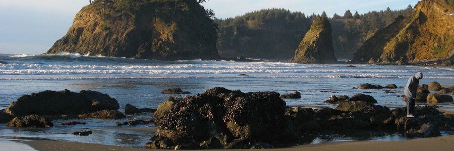 Trinidad State Beach in Humboldt County, California, with rocky sea stacks, tide pools, and a rugged shoreline at low tide