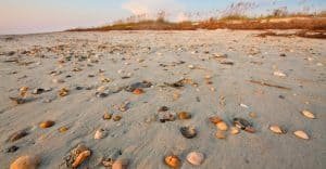 Myrtle Beach, best beaches of South Carolina, South Carolina beaches, best beaches, Beach Travel Destinations, the best South Carolina Beaches, best South Carolina Beach hotels, Best South Carolina Tours & Activities, Kiawah Island, Isle of Palms, Folly Beach, Seabrook Island, Sullivans Island, Hilton Head, North Myrtle Beach, Garden City Beach, Pawley's Island