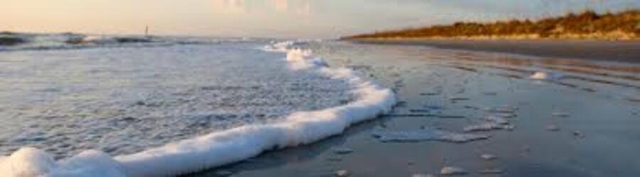 Surfers walking along a golden Georgia beach at sunset.