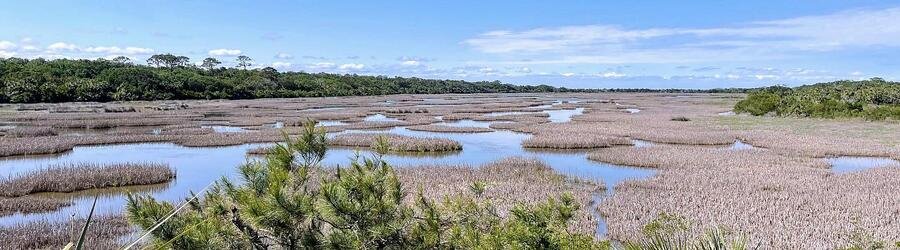 Expansive Georgia wetlands filled with coastal vegetation and tidal pools.