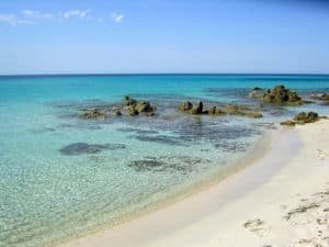 The Best Beaches of Corsica, The Best Corsica Hotels, Best Tours & Activities in Corsica, Bodri Beach Lotu Beach, Saleccia Beach, Barcaggio Beach, Ostricobni Beach, Calvi Beach, Arone Beach, Ghignu Beach, Rondinara Beach, Palombaggia Beach, Santa Giulia Beach, Piantarella Beach, Petit Sperone Beach, Grand Sperone Beach, Sperone Beach, Capo Di Fino Beach, Roccapina Bay