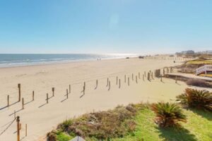 The Best of Port Arthur Texas, Best Port Arthur Area Beaches, Holly Beach Louisiana, Crystal Beach Galveston, Sunny Beach Galveston, North Beach, Rutherford Beach, Best Port Arthur Restaurants, Best Port Arthur Bars & Nightlife, Best Port Arthur Tours & Activies, Best Port Arthur Area Hotels