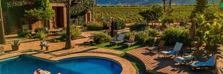 A curved outdoor swimming pool surrounded by red-brick lounging areas, lush gardens, and an ivy-covered building with a direct view of a large vineyard.