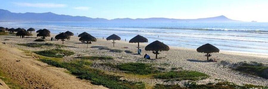 A long row of thatched-roof palapas on a wide sandy beach in San Felipe, overlooking the calm waves of the Sea of Cortez.