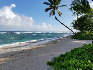The Best St Croix Guide, Rainbow Beach, The 7 Best St Croix Beaches, Sandy Point Beach, Frederiksted Beach, Pelican Cove Beach, Cane Bay Beach, Turtle Beach Buck Island, Jack's Bay and Isaac's Bay, Best St Croix Restaurants, Best St Croix Nighlife, Best St Croix Hotels, Best time to visit St Croix 