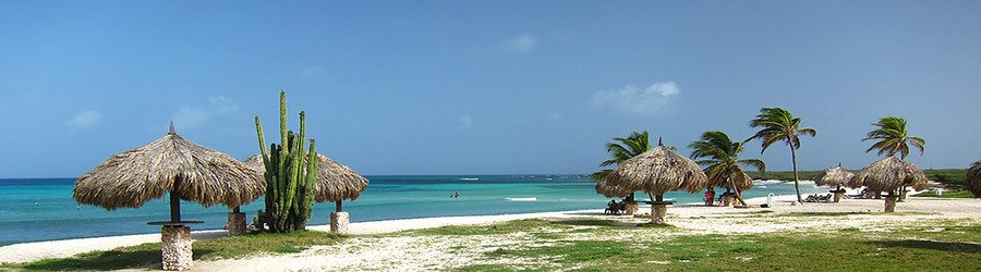 Arashi Beach Aruba with palapas, palm trees, and bright turquoise water