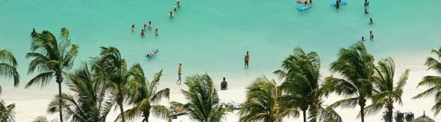 Aerial view of people swimming in turquoise tropical beach waters framed by palm trees
