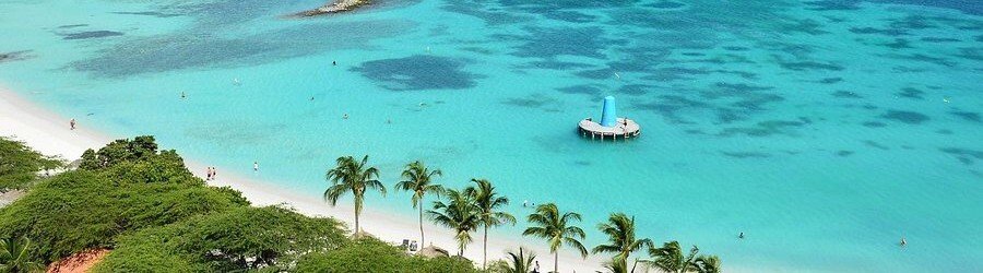 Eagle Beach Aruba overhead view of soft white sand, turquoise water, and palm trees