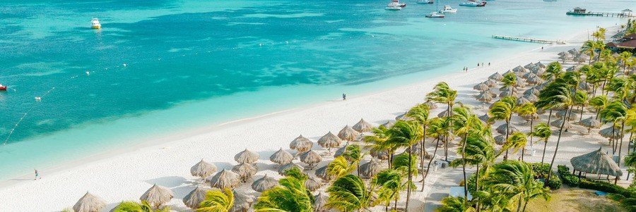 Hilton Aruba Palm Beach Aerial View | Beach Travel Destinations Aerial view of Palm Beach in Aruba with rows of palapa umbrellas and palm trees at the Hilton resort