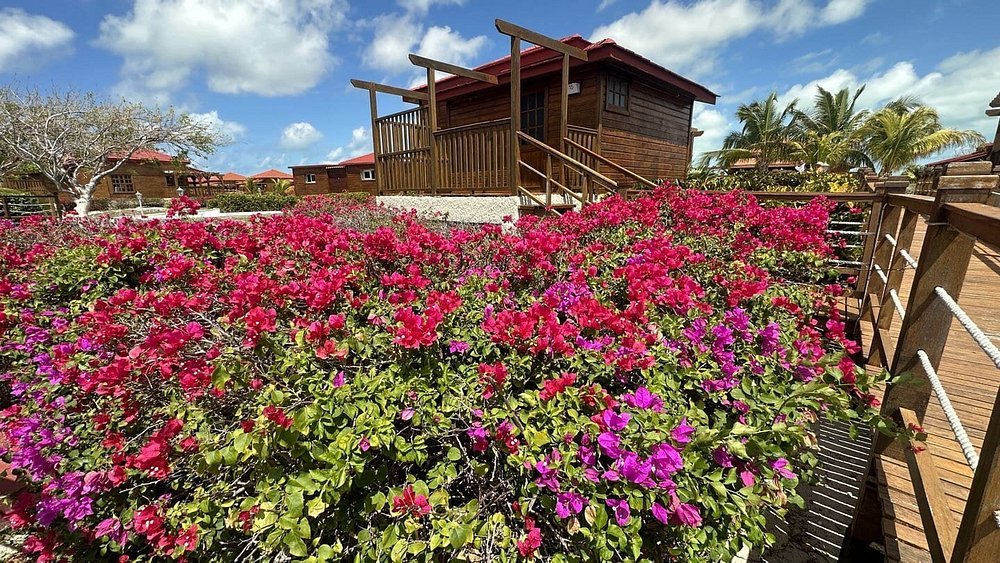 Sanctuary at Grand Memories Cayo Largo resort pool rooms and tropical garden villas in Cuba
