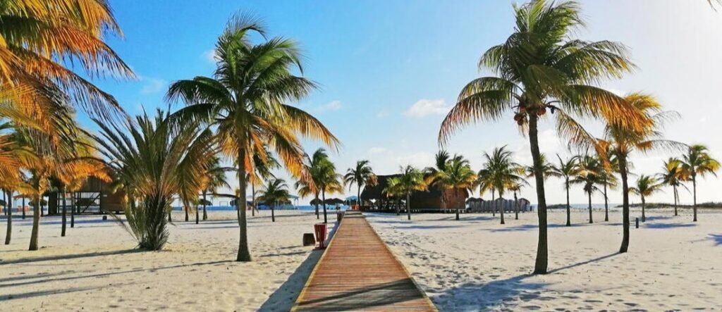Wooden boardwalk leading through palm trees on a white sand beach in Cayo Largo Cuba.
