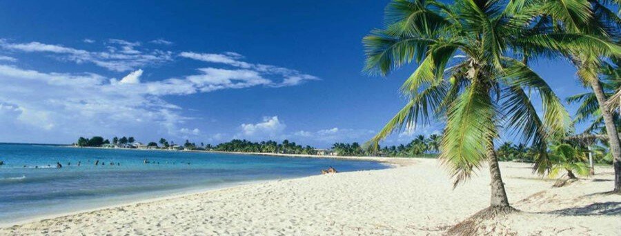 palm trees and calm turquoise water at Playa Los Cocos in Cayo Largo Cuba