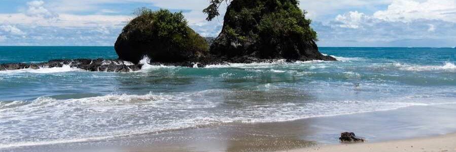Sunny beach with a small rocky island covered in trees offshore and waves crashing on the shore.