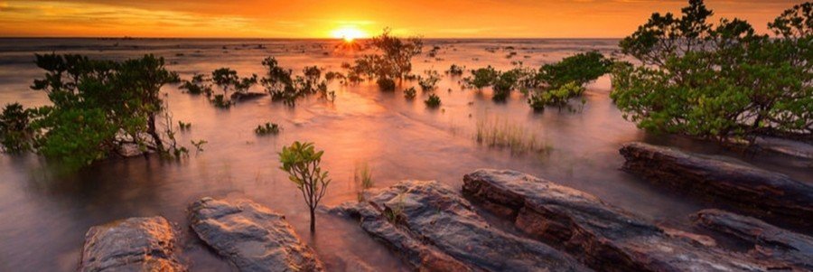 Sunset over the mangroves and rocky shoreline along the Timor Sea in Darwin, Australia.