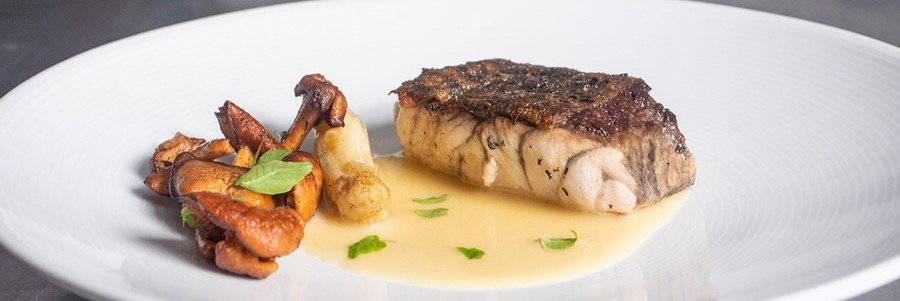 Grilled barramundi fillet served with mushrooms and creamy sauce at a restaurant in Darwin, Australia.