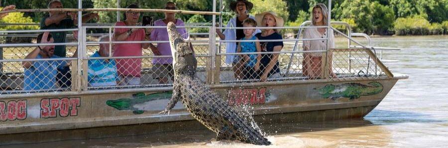Saltwater crocodile leaping from the Adelaide River beside a jumping crocodile cruise boat near Darwin, Australia.