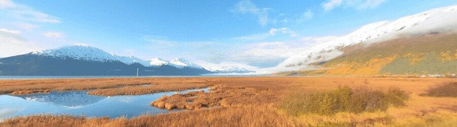 Panoramic view of Turnagain Arm near Anchorage with snow-capped mountains, golden marshland, and bright blue skies.