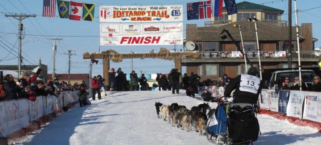 Iditarod Finish Line in Nome, Alaska | Beach Travel Destinations A musher and sled dog team crossing the finish line of the Iditarod Trail Sled Dog Race in Nome, Alaska.