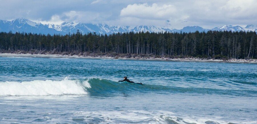 Surfer riding a wave near Yakutat Alaska with snowy mountains and forest along the remote Gulf Coast shoreline.