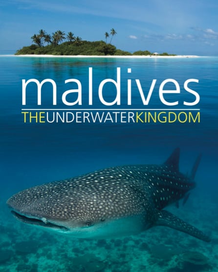 The Maldives Travel Guide, best Maldives beaches, best beaches of Asia, beach travel, best hotel in the Maldives, best restaurants in the Maldives, best nightlife in the Maldives, Maldives beaches, Maldives luxury resorts