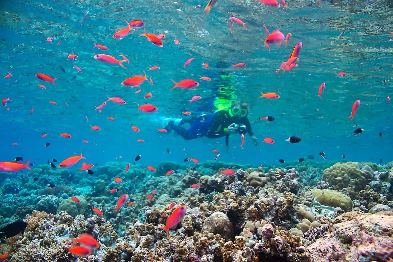 Palau, Top 10 snorkeling spots, best snorkeling in the world, best snorkeling locations, beach travel, beach travel destinations, best snorkeling, snorkeling gear guide