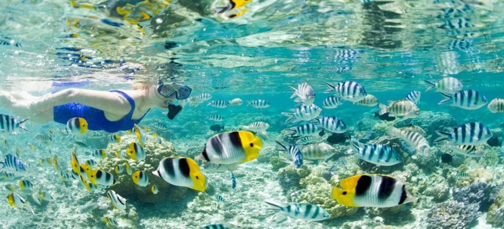 Snorkeler swimming among colorful tropical fish and coral reef at one of the best snorkeling spots in the world.