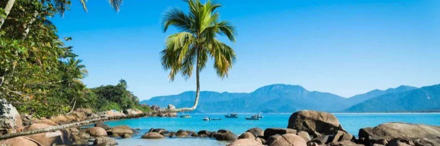 The iconic horizontal L-shaped leaning palm tree stretching over the turquoise waters and rocky shore of Praia do Aventureiro in Ilha Grande, Brazil.