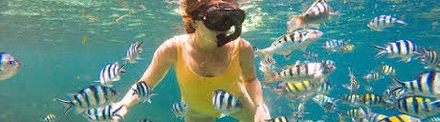 Woman snorkeling among striped tropical fish in shallow water.