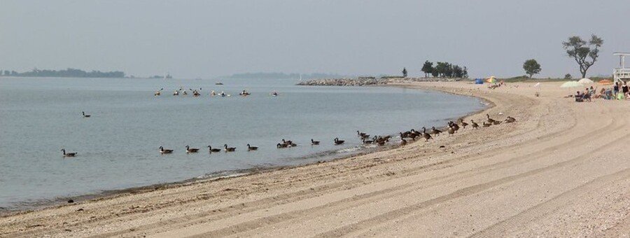 Sherwood Island State Park beach Westport Connecticut sandy shoreline with birds and Long Island Sound