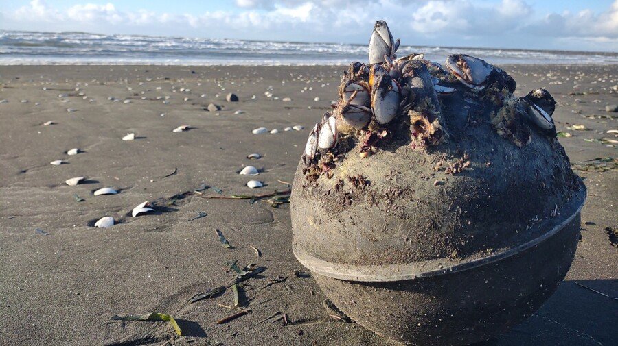 Fishing float with barnacles washed ashore on Westport Connecticut beach