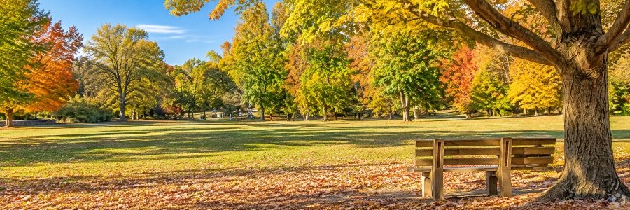 Scenic autumn view of Winslow Park featuring colorful fall foliage, an empty wooden bench, mature shade trees, and spacious green lawns.