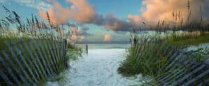 This image has an empty alt attribute; its file name is Henderson-Beach-State-Park-300x124.jpg