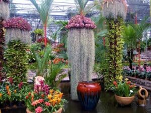 This image has an empty alt attribute; its file name is Marie-Selby-Botanical-Gardens-300x225.jpg