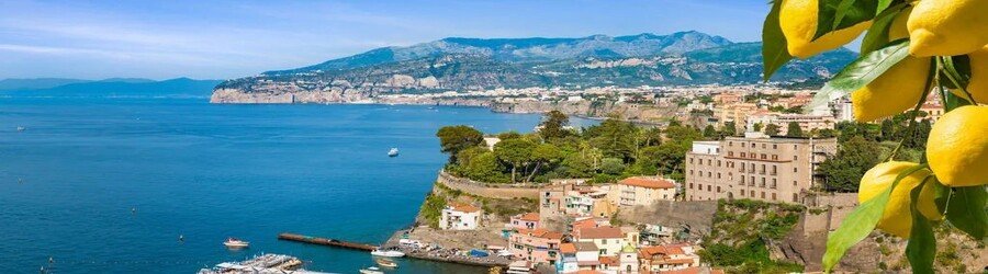 Panoramic view of Sorrento coastline with cliffs and lemon trees