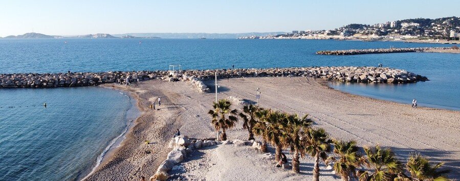 Plages du Prado beach in Marseille with palm trees, rocky breakwaters, and Mediterranean coastline views.