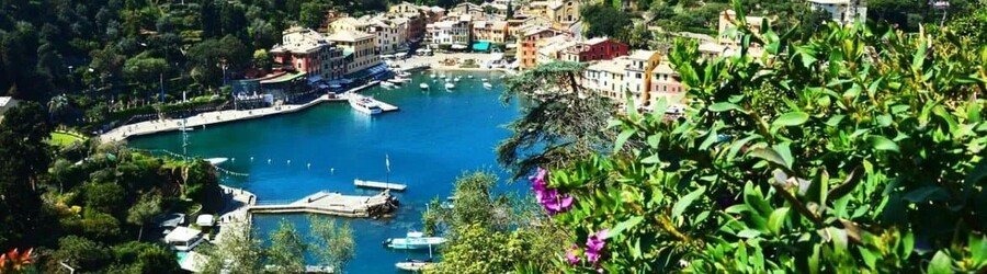 Portofino harbor surrounded by colorful buildings and lush green hills in Italy