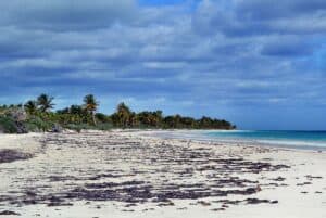Sian Ka'an Beach, Sian Ka'an Mexico, Sian Ka'an Biosphere Reserve, things to do in Tulum, best beaches of Tulum, best beaches of Mexico, Yucatan Peninsula, Yucatan Peninsula beaches, Sian Ka'an Restaurants, Sian Ka'an bars, things to do in Sian Ka'an, best hotels in Sian Ka'an