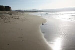 This image has an empty alt attribute; its file name is Monterey-State-Beach-–-Seaside-Beach-300x200.jpg