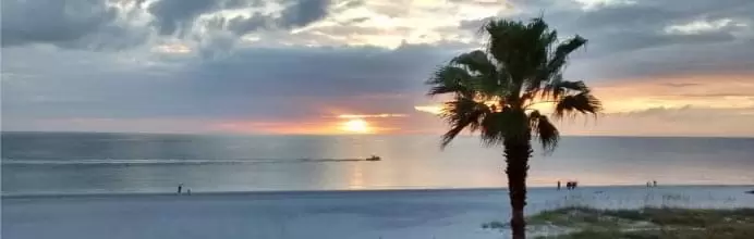 A golden sunset over a calm ocean with a palm tree silhouette and soft waves on the shore.
