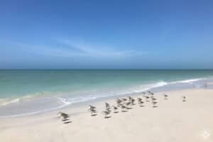 Caladesi Island State Park Florida, the Best of Clearwater Beach, best time to visit Clearwater Beach, best Clearwater Beach Tours & Activities, best Clearwater Beach restaurants, best Clearwater Beach hotels, best Clearwater Beach Bars