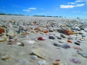 Shell Key Florida, best beaches in the U.S., best Florida beaches, The Best Beaches of St Pete Florida