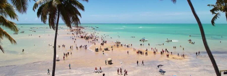 A long sandbar pathway cutting through turquoise ocean waters with crowds of people walking between palm trees.