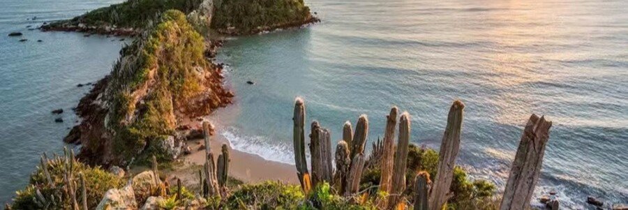An elevated panoramic view of a narrow peninsula surrounded by ocean water with tall cacti in the foreground.